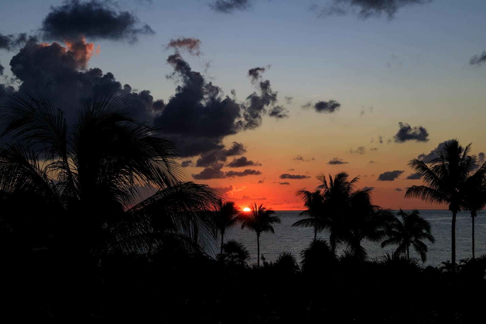 Tampa Bay sunset